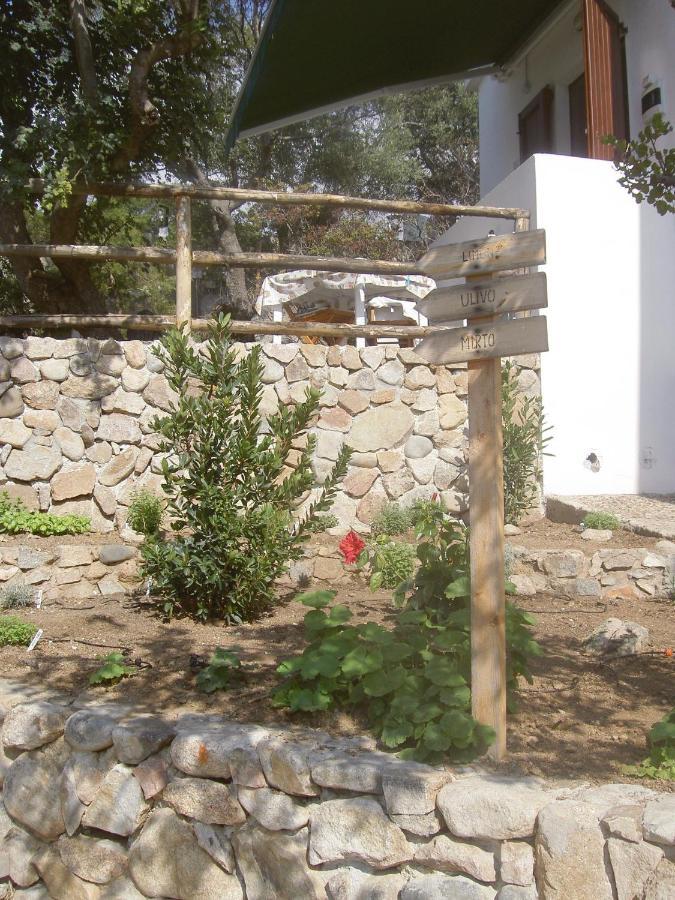 Ferienwohnung Ulivo Quartu SantʼElena Exterior foto