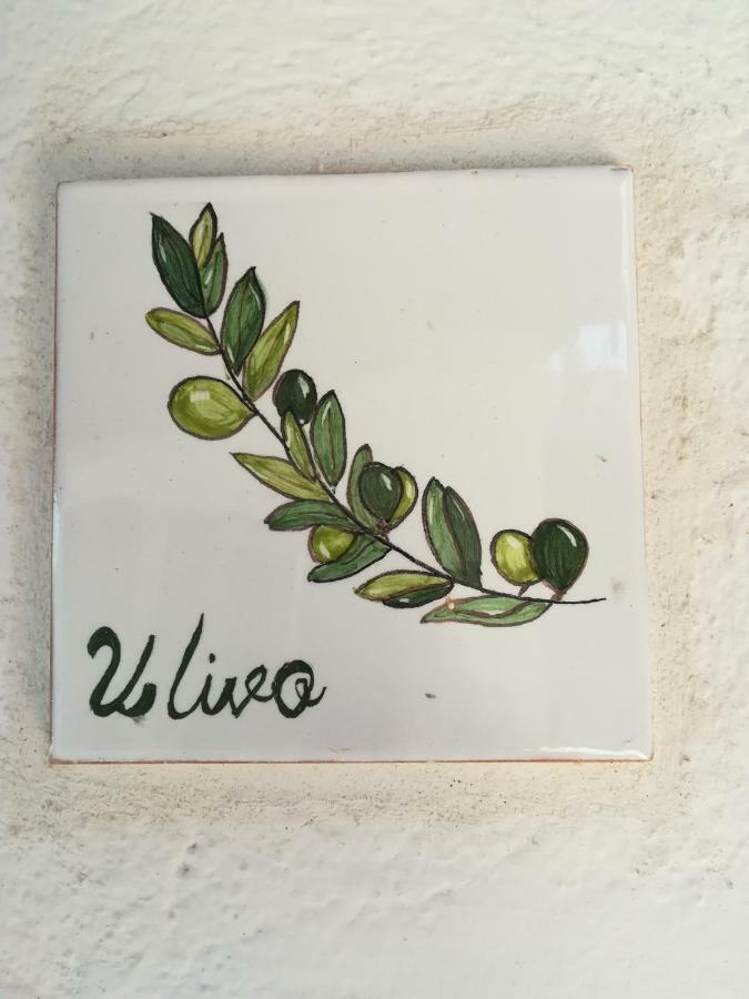 Ferienwohnung Ulivo Quartu SantʼElena Exterior foto